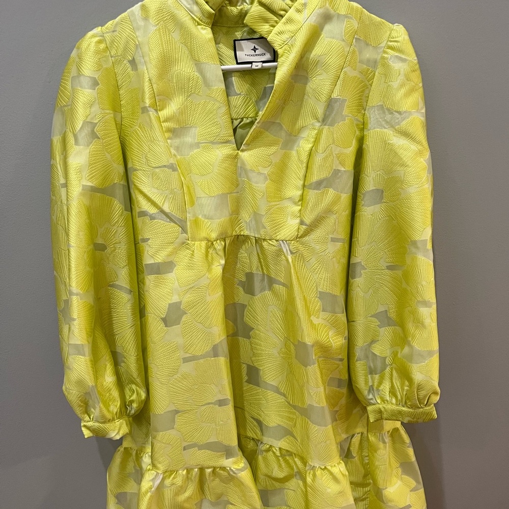 Tuckernuck Citron Fil Coupe Palmerston Dress Size Medium
